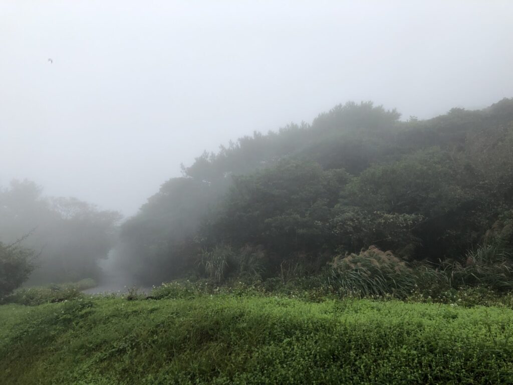 陽明山登山口の天気の様子